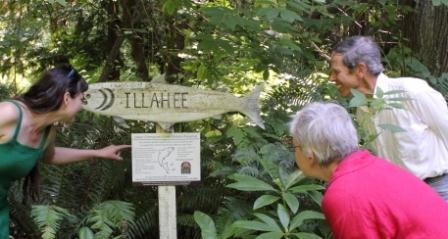 Illahee