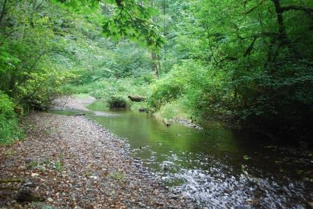 snow-creek-uncas-preserve