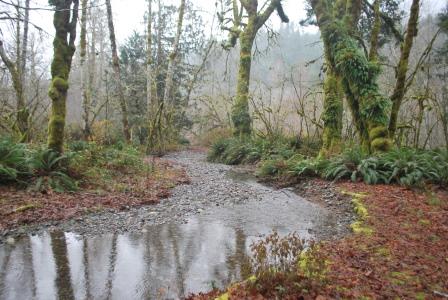 Duckabush River