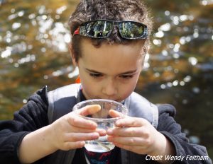 A Grant Street Elementary student wishes "happy travels" to the coho salmon fry he's about to release into Chimacum Creek. Photo credit Wendy Feltham.