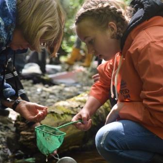 Blue Heron students surveyed microinvertebrates in Snow Creek. Credit Caitlin Battersby