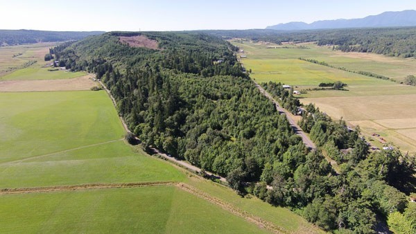 Chimacum Ridge