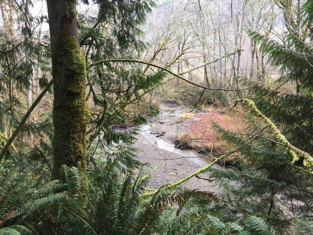 Snow Creek Uncas Preserve