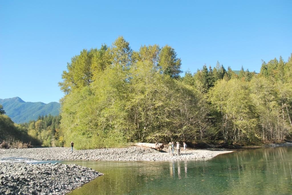 Duckabush Mid-Reach Preserve