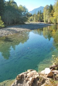 Duckabush Mid-Reach Preserve