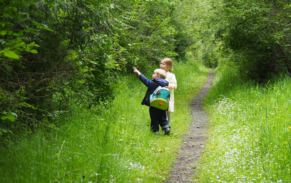 Young explorers enjoy a trail
