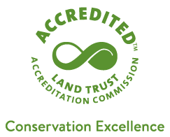 accreditation seal
