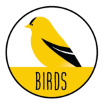 Bird Exploration Icon