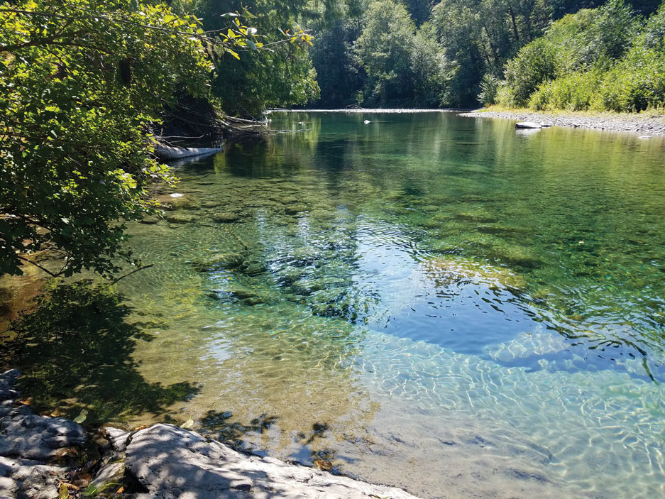 Photo of the Duckabush River by Robert Tognoli.