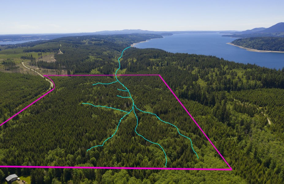 Aerial drone image of shoreline with boundaries and streams highlighted