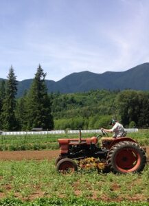 Farmer on tractor