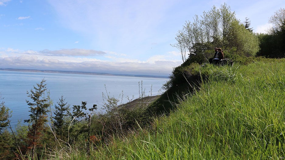 Two people on grassy cliff looking out to sea.