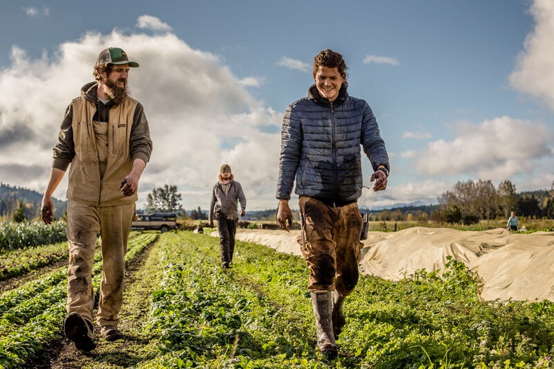 Three men walking the fields