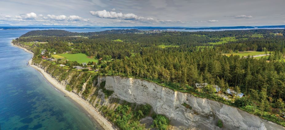 Drone shot of peninsula with corridor of trees.